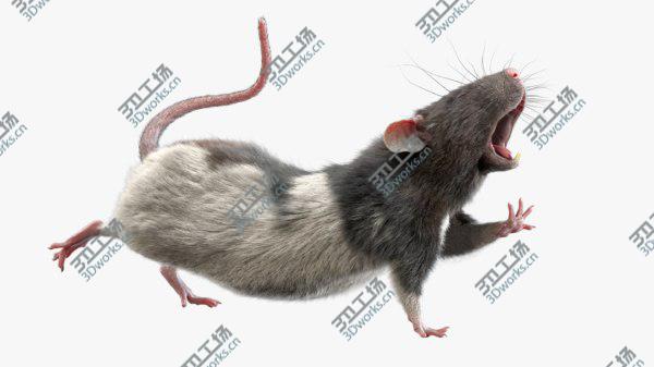 images/goods_img/20210312/3D model Rat (Fur) (Rigged) (4)/1.jpg